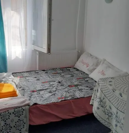Guest house Casa Silvian
