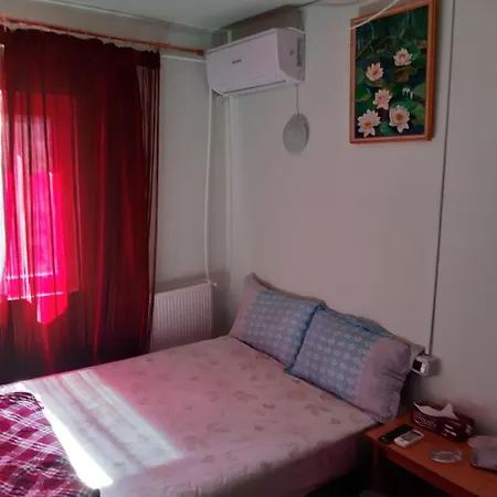 Casa Silvian Guest house *