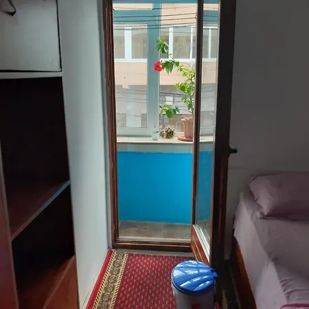 Guest house Casa Silvian *